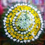 平山开业花篮